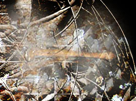 90 yıldır cevabı bulunamayan soru