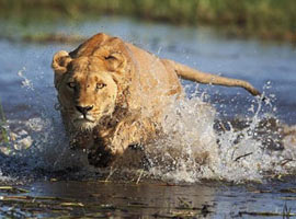 <b>En çok</b> onlar <b>tıklandı !</b> - Foto