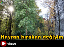 40 saniyede 1 yılı yaşayın ! - İZLE