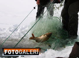 Ekmeklerini buzdan çıkarıyorlar- Foto