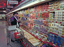 2009'da ekonomi ne olacak?