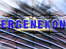 <b>Ergenekonun 2009'daki şok hedefi </b>