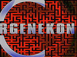 Ergenekon <B>'ETÖ'</B> oldu