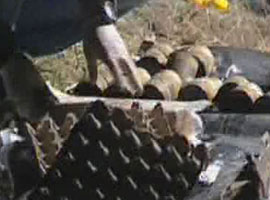 <b>Bomba gelişme:</b> Numaralar aynı