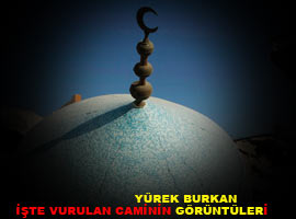 Böyle vicdansızlık görülmedi - Foto