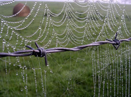 Sizce hangisi birinci olur? İşte adaylar - Foto