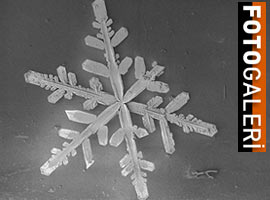 Gözlerinize <b>inanamayacaksınız !</b> - Foto