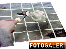 İnternette bu fotoğraflar paylaşılıyor - Foto