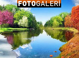 4 mevsim tek karede - Foto