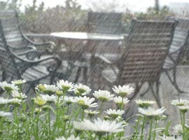 Hafta sonu havalar nasıl olacak?