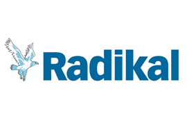 Radikal <b>Genelkurmay'a hesap </b>sordu !