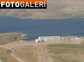 Dünyada bir ilk - Foto