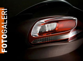 Casus fotoğrafçılara yakalandı ! - Foto