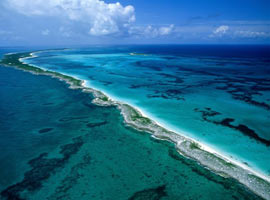 Bu fotoğraflara <b>hayran</b> kalacaksınız - Foto