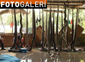 Bu işte çalışmak cesaret ister - Foto