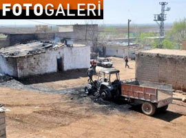 Şanlıurfa'da <b>korkunç intikam</b> - Foto