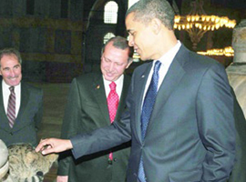 Obama'nın sevdiği kedi veterinerlik oldu