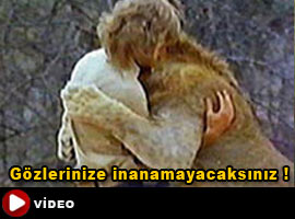 <b>Rekor kıran</b> video gerçekmiş ! - Video