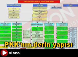 Tüyler ürperten benzerlik - İZLE