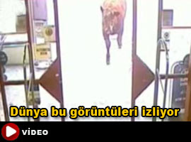 Market bastı meşhur oldu - İZLE