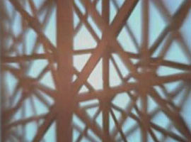 Türk profesörden müthiş başarı