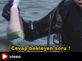 Herkes bu soruya cevap arıyor - Video