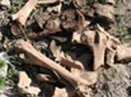 Helkis Dağı'nda <b>şoke eden bulgu</b>