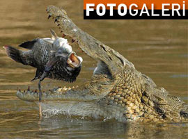 TAM O ANDA çekildi !  - Foto