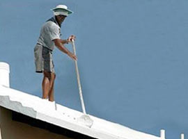 Dünyayı kurtaracak çözüm !