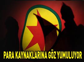 Almanya PKK'ya karşı hareketsiz