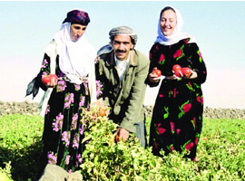 Medyatik kuma evi terketti