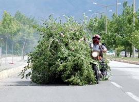 Sizce motosikletiyle ne yapıyor?