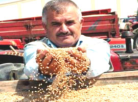 Çiftçinin yüzü bu yıl güldü