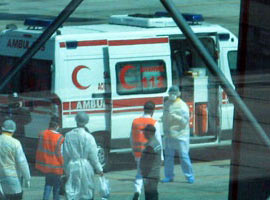 Denizli'de domuz gribi vakası