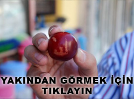 Erikte 'Allah' lafzı görenleri şaşırttı - Foto