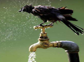 Türkiye en uzun gündüzü yaşıyor  