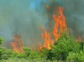 Alevler askeri bölgeye de sıçradı !