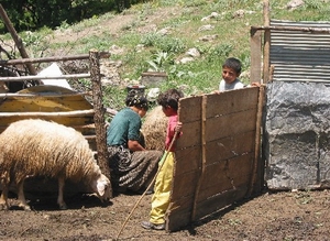 Türkiye'nin yoksulluk karnesi