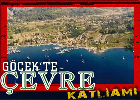 Göcek'te ağaçlar tükeniyor