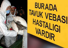 Artık tek bir merkez konuşacak