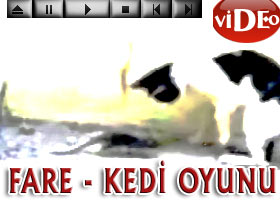 Dünya tersine mi döndü - Video