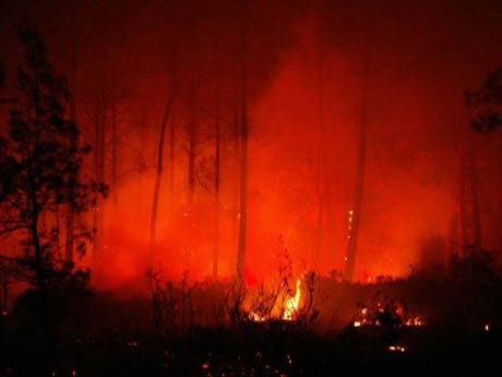 Bodrum'da 700 Hektar alan yandı
