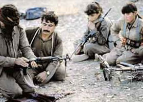 Bingöl'de PKK sığınakları bulundu