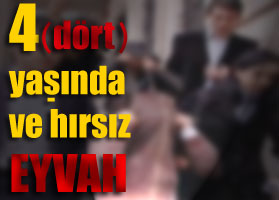 Hırsızın yaşı 4