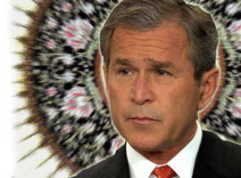 Bush: İslam, büyük bir din 