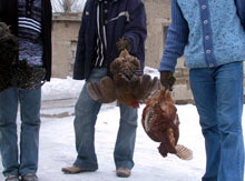 Silvan'da bir köy karantinaya alındı