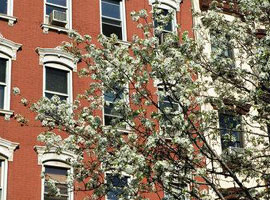 Havalar ısınacak gibi!