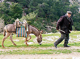 Köyde tek başına