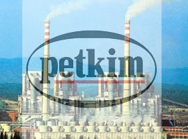 Petkim'in özelleştirme süreci başladı