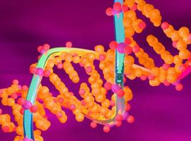 ABD'li uzmanın Gen tedavisi itirafı